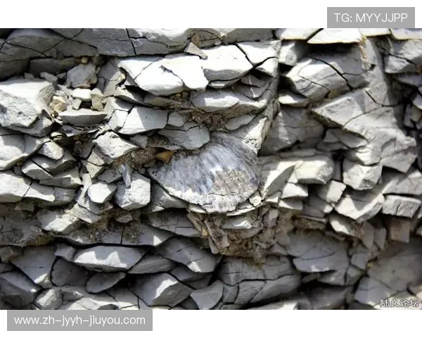 足球运动化石证据是否揭示早期球类运动与现代足球的渊源